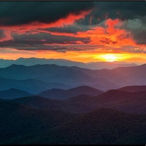 Meet your Posher, Logan